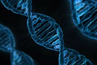 DNA Test Ottawa