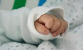 Egg Donation Ottawa