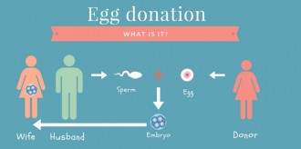 Egg Donation Canada