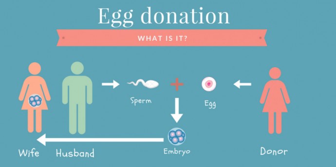 Notable Trends In Egg Donation Business Guide Ottawa