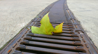 drain français gatineau