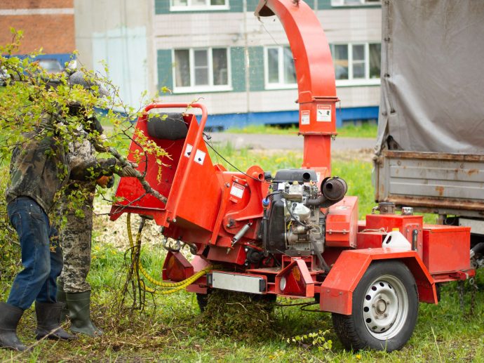 déchiquetage d'arbre à Gatineau